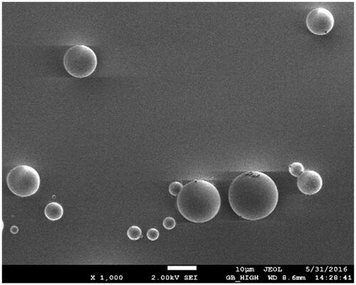 Figure 1. CEQ-loaded microspheres observed by scanning electron microscopy.