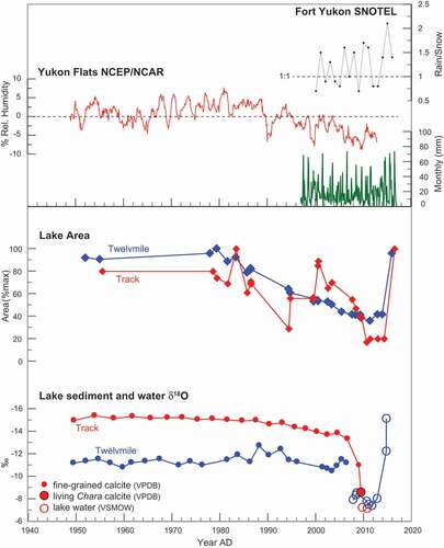 Figure 4. Fort Yukon SNOTEL monthly precipitation and rain/snow ratio (1997–2016) plotted against Yukon Flats (YF) relative humidity (NCEP/NCAR reanalysis percent anomaly from 1948 to 2013 mean for average of YF grid cells), Twelvemile and Track Lake surface areas (percent of maximum, diamond symbol), and sediment δ18OCaCO3 (‰ VDPB, small circle symbol), living Chara δ18O (‰ VDPB, large filled circle symbol), and lake water δ18OH2O (‰ VSMOW, open circle symbol) from approximately 1950 to 2016. MAP = mean annual precipitation