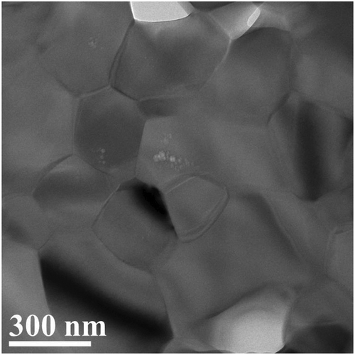 Figure 7. Transmission electron microscope image of hydroxyapatite sample prepared by flash sintering