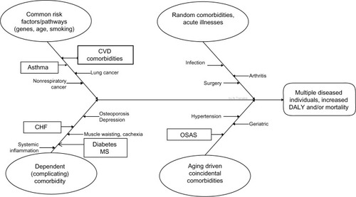 Figure 2 Cause-effect diagram shows the four different ways in which other abnormalities may be linked with COPD, presented in the same individual, the so-called multidiseased COPD patient, and leading in increase morbidity and mortality.
