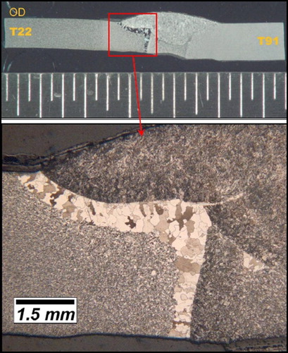 Figure 21. Ex-service T22 to T91 weldment operating in a reheater section after 45,000 h at service temperature (>565°C, 1050°F).Note: This weldment was made using filler metal matching to the T91 and underwent a PWHT prior to entering service. The minimum hardness in the carbon denuded region is ∼100 HV 0.5.