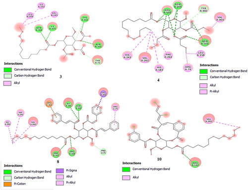 Figure 6. Non-bonding interactions of derivatives (3, 4, 8, and 10) with the amino acid residues of 1RXF generated by Discovery Studio.