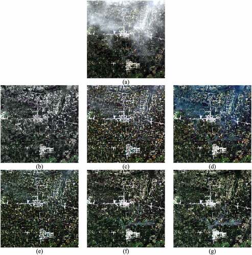 Figure 4. Comparison of the recovered results in the simulated experiment based on Landsat 8 OLI: (a) simulated cloud-covered image; (b)–(f) recovered results from HOT, HTM, TDCP, SpA-GAN, and the proposed method; (g) ground truth.