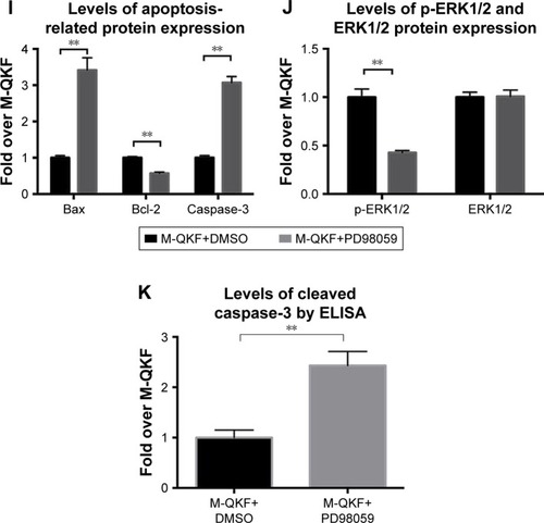 Figure 5 M-QKF alleviate neuronal apoptosis by activating ERK1/2.