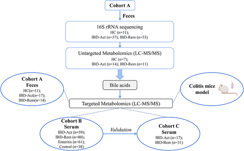 Figure 1. Schematic diagram of the techniques used to study the three patient cohorts and model mice. In cohort A, stool samples were collected for multiomics testing. The number of collected stool samples varied among patients, resulting in different patient sample sizes for each omics dataset. In cohorts B and C, serum samples were collected for bile acid testing. Cohort B was used to establish the diagnostic model, and cohort C was used to verify it. Additionally, a colitis mouse model was employed to investigate serum bile acid changes and establish cross-species homogeneity.