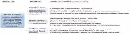 Figure 3. Focus areas of feasibility (implementation, acceptability and demand) with map of how quantitative and qualitative outcome data were combined to draw inference.*Different subgroups of participants: This refers to the subgroups of participants with either different self-reported symptom (chronic pain, chronic fatigue or mental distress) or participants with/without clinically confirmed mental disorders.