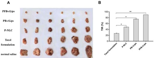 Figure 10 (A) The dissected tumors after treatment with different PTX formulations including PFB-rLips, PB-rLips, P-NLC, Taxol® (paclitaxel) formulation and normal saline on day eight. (B) The tumor inhibition rates after treatment with paclitaxel formulation, P-NLC, PB-rLips and PFB-rLips on day eight, respectively (n=6). *p<0.05, **p<0.01.