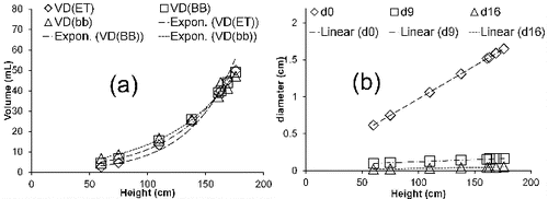 FIG. 2. (a) The variation of the extrathoracic volume (VD(ET)), bronchi volume (VD(BB)), and bronchiolar volume (VD(bb)) as a function of height. The fits were with R2 = 0.9875 (dashed lines), with R2 = 0.9939 (dashed dotted), and with R2 = 0.9948 (dotted). (B) The variation of the 0th (d0), 9th (d9), and 16th (d16) airway generations as a function of age. The fits were with R2 = 1 (dashed lines), with R2 = 0.9995 (dashed dotted), and with R2 = 0.9907 (dotted).