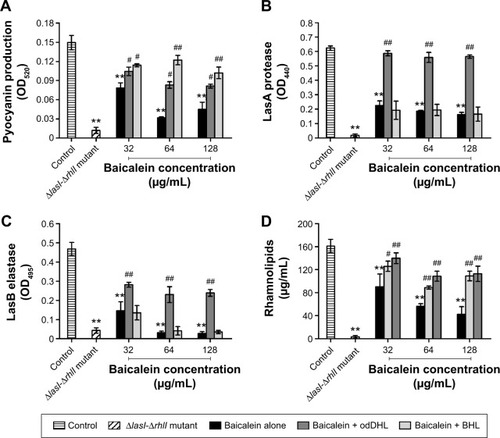Figure 3 Inhibitory effects of sub-minimum inhibitory concentration levels of baicalein on the production of quorum sensing-regulated extracellular virulence factors in Pseudomonas aeruginosa culture supernatants.