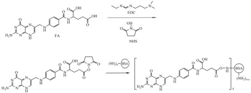 Figure 2 Graphical synthetic route of FA-BSA.