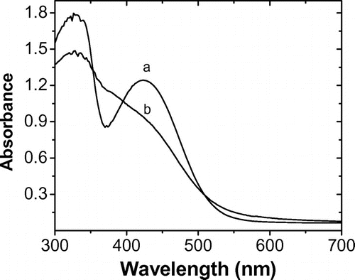 Figure 7. UV–vis absorption spectra of the polymer films. Before (a) and after (b) heating at 120 °C with UV (1 h) in Ar.