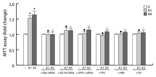 Figure 7. Involvement of the protein complex in the adiponectin-induced MCF-7 cell growth. MTT growth assays in MCF-7 cells untreated or treated for 72 h with A1 and A5 in the absence or presence of ERα, IGF-IR, or APPL1 siRNA, or in combination with PP2, H89, or PD98059 inhibitor of c-Src, PKA, and MAPK, respectively. Cell proliferation is expressed as fold change ± SD relative to vehicle treated cells, and is representative of 3 different experiments each performed in triplicate. *P < 0.05 compared with control (−); ●P < 0.05 compared with A1; ○P < 0.05 compared with A5.