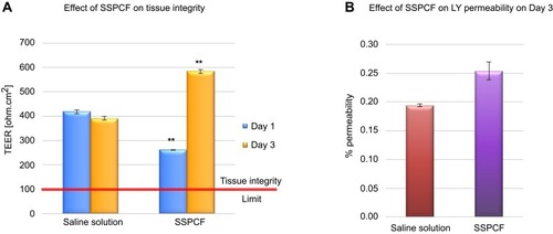 Figure 1 Barrier-forming properties of SSPCF: TEER and Lucifer yellow assays. (A) SSPCF treatment caused a significant decrease in resistance after 1 day and a significant increase in resistance after 3 days, as compared to saline treatment. The increase in resistance at day 3 indicates maintenance of epithelium integrity. (B) As compared to saline treatment, SSPCF treatment did not cause any significant change in the membrane permeability measured by the LY permeability assay. This further indicates the maintenance of the integrity and functionality of the epithelium. **p<0.01. Error bars represent SEM.