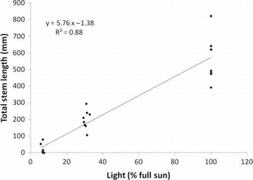 Figure 1  Experiment 1: Relationship between A. philoxeroides total stem length and light intensity in the absence of inter-specific competition in the glasshouse.