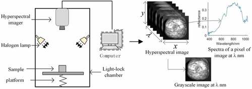 Figure 2. Schematic of the hyperspectral imaging system and hyperspectral 3D spectral image