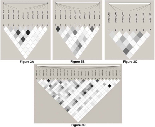 Figure 3. Linkage disequilibrium (LD) between pairs of SNPs located in Pfdhfr, Pfdhps genes implicated in SP drug resistance in imported P. falciparum cases in Qatar. The intra and inter-genic association between genes for the isolates collected from East Africa, West and Central Africa and Indian subcontinent were determined using the LD plot. The strength of LDbetween the SNPs was determined from the association of statistical significance by calculating the r2 values and represented by the darkness of the boxes.