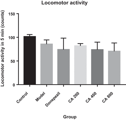 Figure 2. Effect of CA on locomotor activities. Control (distilled water + normal salin), Model (AlCl3 70 mg/kg. bwt), Donepezil (Donepezil + AlCl3 70 mg/kg.bwt), CA 200 (CA 200 mg/kg.bwt + AlCl3), CA 400 (CA 400 mg/kg.bwt + AlCl3) and CA 800 (CA 800 mg/kg.bwt + AlCl3). Data represent as mean ± SEM (n = 5).