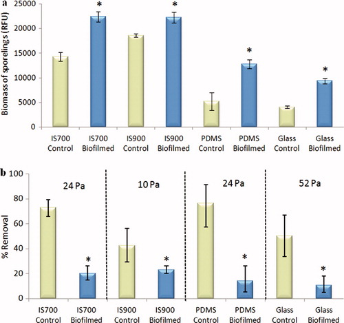 Figure 4. Effect of bacterial biofilms formed from NSW on the settlement and the adhesion strength of sporelings of U. linza on a range of test surfaces. (a) Mean biomass of sporelings on control (non-biofilmed) and biofilmed surfaces before exposure to shear stress obtained from the measure of the chlorophyll fluorescence (RFU) on six replicate slides. Error bars represent ± 2×SE. (b) Mean percentage removal of sporelings from control and biofilmed surfaces, after exposure to a shear stress of 10 Pa for IS900, 24 Pa for PDMS and IS700 and 52 Pa for glass, obtained from RFU determinations on six replicate slides before and after exposure to flow. Error bars represent ± 2×SE and were calculated from arcsine-transformed data. For the two figures, asterisks show the values that are significantly different to control surfaces (ANOVA, p < 0.05).