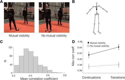 Figure 1. A: The two conditions of the experiment. B: Body-joint marker locations (black marker is the chest point that was used to calculate the body sway). C: Histogram of mean correlation coefficients of participants’ body sways. D: Body sway synchrony: Interaction of visibility and sequence phase. The error bars indicate the standard error of the mean.