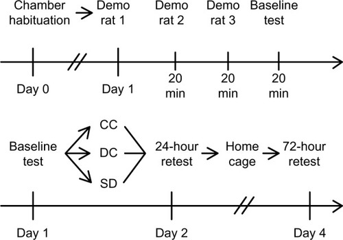 Figure 1 Schematic figure depicting experimental design.