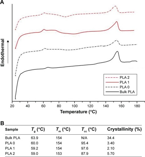 Figure 2 PLA processing and drug loading influence the crystallinity of the electrospun nanofibers.Notes: DSC thermograms of the different PLA materials without Dexa (bulk PLA and PLA 0) and with Dexa loading (PLA 1 and 2) (A). Quantification of the PLA fibers’ thermal properties, depending on the processing method and the presence of Dexa (B).Abbreviations: DSC, differential scanning calorimetry; PLA, poly(lactic acid) ; Tg, glass transition temperature; Tm, melting temperature; Tcc, cold-crystallization temperature.