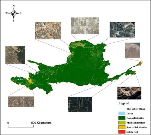 Figure 6. Detailed map of salinization distribution.