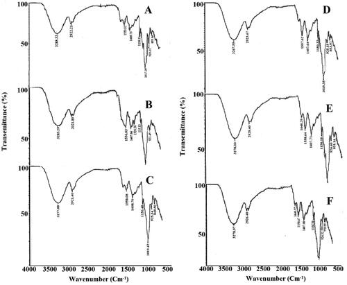 Figure 1. FTIR analysis of various formulations: (A) F3, (B) F13, (C) F23, (D) F8, (E) F18, (F) F28.