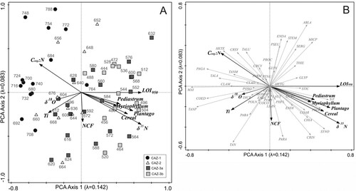 Figure 5. PCA bi-plots. (A) Chironomid samples with environmental variables. (B) Chironomid taxa with environmental variables. Chironomid taxa are abbreviated as follows ABLA = Ablabesmyia; CHIA = Chironomus anthracinus-type; CLAD = Cladopelma; CLAM = Cladotanytarsus mancus-type; COAR = Corynoneura arctica-type; COCO = Corynoneura coronata-type; COED = Corynoneura edwardsi-type; CRCY = Cricotopus cylindraceus-type; CRIN = Cricotopus intersectus-type; CRSY = Cricotopus sylvestris-type; DICR = Dicrotendipes nervosus-type; ENDA = Endochironomus albipennis-type; ENDI = Endochironomus impar-type; ENDT = Endochironomus tendens-type; EUKC = Eukieferiella claripennis-type; GLYP = Glyptotendipes pallens-type; GLYS = Glyptotendipes severini-type; GUTT = Guttipelopia; HETE = Heterotanytarsus; HETG = Heterotrissocladius grimshawi-type; LAUT = Lauterborniella; LIMN = Limnophyes; MAI = Micropsectra insignilobus-type; MICP = Microtendipes pedellus-type; MONO = Monopelopia; PAGA = Pagastiella; PVAR = Parachironomus varus-type; PARM = Paramerina; PARA = Paratanytarsus; PTNU = Paratendipes nudisquama-type; PABA = Parakiefferiella bathophila-type; PHFL = Phaenopsectra flavipes-type; POLN = Polypedilum nubesculosum-type; POSO = Polypedilum sordens-type; PROC = Procladius; PSEU = Pseudochironomus; SERG = Sergentia coracina-type; STEM = Stempellina; S/Z = Stempellinella; STIC = Stictochironomus; SYNO = Synorthocladius; TAN = Tanytarsus undifferentiated; TALA = Tanytarsus lacetescens-type; TALU = Tanytarsus lugens-type; TANM = Tanytarsus mendax-type; TANP = Tanytarsus pallidicornis-type; THIE = Thienemannimyia.