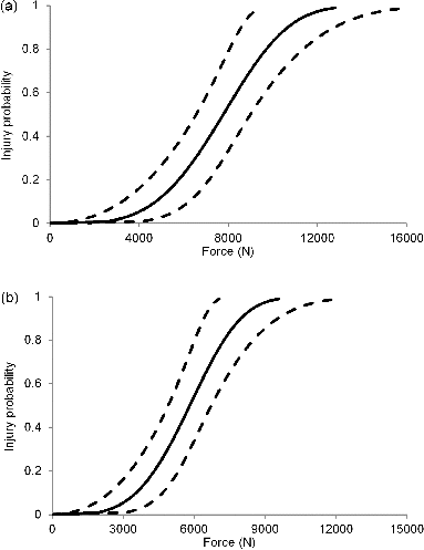 Fig. 5. (5a). Injury probability curves for 45 years corresponding to mid-size male anthropometry. The mean curve is shown as solid and lower and upper 95% confidence intervals are shown as dashed curves. (5b). Injury probability curves for 45 years corresponding to small-size female anthropometry. The mean curve is shown as solid and lower and upper 95% confidence intervals are shown as dashed curves.