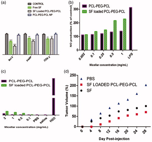 Figure 5. (a) Statistic analysis of gene expression in MCF-7 cells after 48 h treatments with 20 μmol/L of free SF, PCL–PEG–PCL micelles and SF loaded PCL–PEG–PCL. Each experiment was repeated three times. (b) Effects of PCL–PEG–PCL micelle and SF-loaded PCL–PEG–PCL micelle on the level of nitric oxide in NR8383 cells. Data represents the mean ± standard error of The mean of four experiments (P < 0.01 is significantly different from the LPS); (c) Hemolytic test on PCL–PEG–PCL micelle and SF-loaded PCL–PEG–PCL micelle. Data represent the mean ± standard error of the mean of three experiments (P < 0.01 compared to saline group); (d) Antitumor effect of free SF, PCL–PEG–PCL micelles and SF-loaded PCL–PEG–PCL in 4T1 tumor bearing mice. Mice were administered free SF (•) and SF-loaded micelle (▪) andPBS (▴) i.v at the equivalent 30 mg/kg SF.