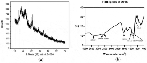 Figure 7. (a) XRD analytical shape of OPTS; (b) FTIR spectrum for extracted starch (OPTS)
