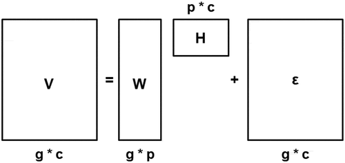Figure 2. Matrix decomposition carried out using NMF. Matrix V is decomposed into W and H. g denotes demographic groups in the dataset, c denotes content (e.g., videos), and p is the number of latent interaction patterns that are used to create the personas