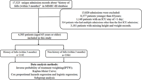 Figure 1 Inclusion and exclusion flowchart of the study.