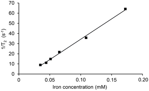 Figure 9 T2 relaxivity measurement of FNs.Abbreviation: FNs, magnetic ferrite nanoclusters.