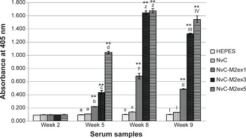 Figure 6 Immunogenicity of the fusion proteins in BALB/c mice.Notes: Antibodies specifically against M2e in serum samples collected at week 2 (pre-injection), week 5 (3 weeks after first injection), week 8 (3 weeks after first booster injection), and week 9 (1 week after second booster injection) were measured by ELISA. Serum samples from mice were pooled according to the groups injected with HEPES buffer, NvC, NvC-M2ex1, NvC-M2ex3, and NvC-M2ex5. The serum samples were then reacted with synthetic M2e peptide coated onto microtiter plate wells. Alphabets and roman numerals (a, b, c, d; x, y, z; and I, II, III, IV) on top of each bar (group) represent statistical significance (P<0.001) of results within each time point. The asterisks (**) on top of the bar chart show extreme significance (P<0.0001) compared with the group of mice immunized with NvC (control without M2e).Abbreviations: M2e, influenza A matrix 2 ectodomain; ELISA, enzyme-linked immunosorbent assay; HEPES, 2-[4-(2-hydroxyethyl)piperazin-1-yl]ethanesulfonate; NvC, Macrobrachium rosenbergii nodavirus capsid protein; NvC-M2ex1, Macrobrachium rosenbergii nodavirus capsid protein displaying one copy of influenza A matrix 2 ectodomain; NvC-M2ex3, Macrobrachium rosenbergii nodavirus capsid protein displaying three copies of influenza A matrix 2 ectodomain; NvC-M2ex5, Macrobrachium rosenbergii nodavirus capsid protein displaying five copies of influenza A matrix 2 ectodomain.
