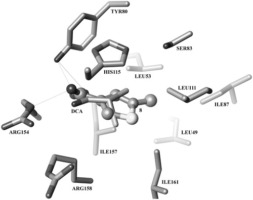 Figure 2. Predicted binding mode of compound 8 (balls and sticks) superimposed with the PDK2/DCA co-crystal structure 2BU8 (sticks).