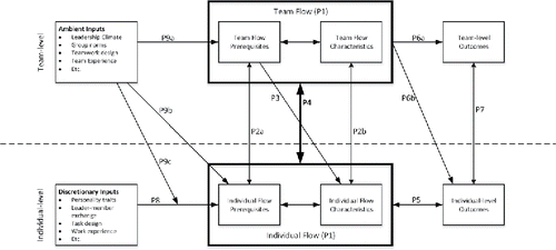 Figure 2. An integrative theoretical multilevel model of individual flow and team flow.