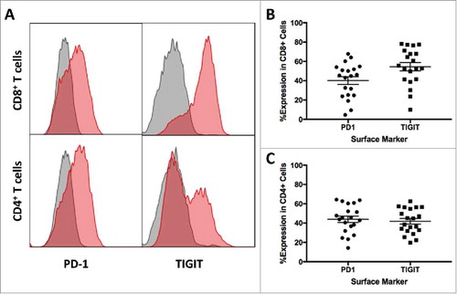 Figure 1. High PD-1 and TIGIT Expression in Patient Brain TILs. A. Representative histograms of PD-1 and TIGIT expression on tumor-infiltrating CD3+CD8+ and CD3+CD4+ T cells. Gray histograms represent isotype control, and red histograms represent the staining of PD-1 and TIGIT surface markers. B. PD-1 (40.19% ± 4.01) and TIGIT (54.48% ± 4.30) expressions on CD8+ T cells were elevated in patients with glioma. C. High expressions of PD-1 (43.92% ± 3.27) and TIGIT (41.78% ± 2.91) were found in tumor-infiltrating CD4+ T cells.