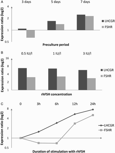 Figure 1.  The effect of the length of preculture before 24-hour-long stimulation with 3 IU/l rhFSH (A), rhFSH concentration in the culture medium during 24-hour-long stimulation after 7 days of preculture (B), and duration of stimulation with 0.5 IU/l rhFSH after 7 days of preculture (C) on changes in relative quantity of FSHR and LHCGR mRNA as compared to non-stimulated cells (based on pooled cells from 3 random patients, different for each analysis). rhFSH: recombinant human follicle stimulating hormone; FSHR: follicle stimulating hormone receptor; LHCGR: luteinizing hormone/chorionic gonadotropin receptor