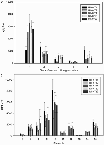 Figure 1. Mean (n = 50) content (µg/g DW) for the analyzed phenolic compounds (A) flavan-3-ols and chlorogenic acids, (B) flavonols in different black currant populations. Error bars indicate ± standard deviation (SD) of means. Codes: 1 = epigallocatechin; 2 = catechin; 3 = epicatechin; 4 = neochlorogenic acid; 5 = chlorogenic acid; 6 = myricetin-malonylglucoside; 7 = quercetin-3-O-galactoside; 8 = quercetin-3-O-glucoside; 9 = quercetin-3-O-rutinoside; 10 = quercetin-3-6-malonylglucoside; 11 = kampferol-3-O-rutinoside; 12 = kaempferol-3-O-glucoside; 13 = isorhamnetin-3-O-rutinoside; 14 = isorhamnetin-3-O-glucoside; 15 = kaempferol-malonylglucoside.