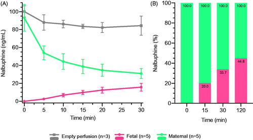 Figure 1. Perfusion profiles of nalbuphine. (A) Data from independent placenta perfusions (fetal and maternal circuits, n = 5) and empty perfusions (maternal circuit only, n = 3); displayed are the mean concentrations ± SD. (B) Nalbuphine relative concentrations data in the fetal and maternal circuits at 15, 30, and 120 min.