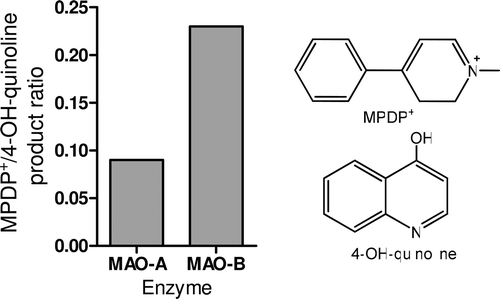 Figure  4. . Activity ratio of MAO-B and -A isozymes under the same conditions determined by using the products from two different substrates: kynuramine (formation of 4-hydroxyquinoline) following a previous method (30), and MPTP (formation of MPDP+) analyzed by HPLC, as described here. Separate incubations (37°C, 40 min) with enzymes (0.05 mg/mL protein fraction) and 150 μM kynuramine or 150 μM MPTP were carried out.