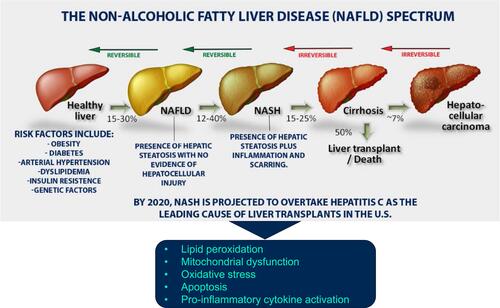 Figure 1 Spectrum of non-alcoholic fatty liver disease (NAFLD). Data from these studies.Citation5,Citation22