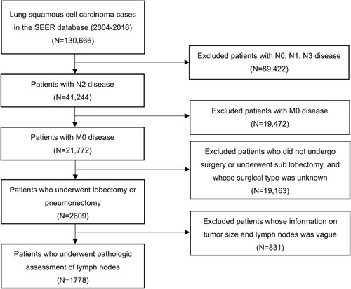 Figure 1 Selection of patients included in the study.