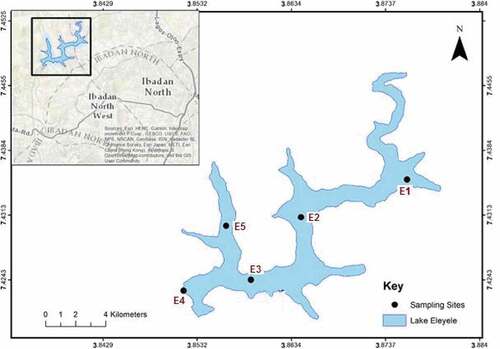 Figure 1. Map of sampled sites in Eleyele Lake, Ibadan City, Oyo State, south-western, Nigeria.