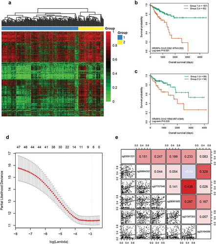 Figure 1. Identification of six candidate CpGs in the training cohort. (a) Unsupervised hierarchical clustering and heatmap for 249 CRC patients based on 3299 CpGs associated with OS. Each column corresponds to an individual patient and each row corresponds to an individual CpG. (b) Kaplan-Meier survival curves of the two groups generated by the clustering. (c) Kaplan-Meier survival curves of the two groups generated by the supervised hierarchical clustering in the test cohort. (d) Ten-fold cross-validation for regularized cox regression with L1 penalty identified six candidate CpGs. The two dotted vertical lines are drawn at the optimal values by minimum criteria and 1-standard error criteria, respectively. The tuning parameter λ = 0.057 with log (λ) = −2.863 was determined by minimum criteria. (e) Correlations among the methylation levels of the six CpGs