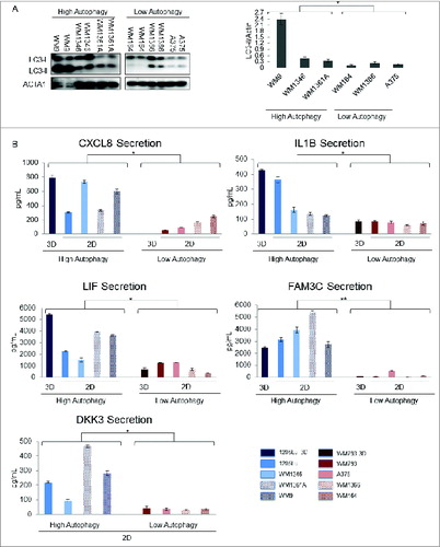 Figure 3. Measurement of candidate biomarkers of high autophagy in a panel of high- and low-autophagy melanoma cell lines in monolayer culture. (A) left panel – An exposure from a single LC3 immunoblot of total cell lysates for biological duplicates of WM9, WM1346, WM1361A, WM164, WM1366, and A375 melanoma cell lines; right panel – densitometric quantification of protein gel blots. P values were calculated using ANOVA (*P < 0.05). (B) Sandwich ELISA assays of candidate biomarkers in melanoma cell line conditioned media from cell lines in 2D culture with high (1205Lu, WM9, WM1361A, and WM1346) or low (WM793, WM1366, WM164, A375) basal autophagic flux. Selected candidate biomarkers in conditioned media for 1205Lu and WM793 grown in 3D culture are shown for comparison. P values were calculated using the Welch t test (N = 8; *P < 0.05, **P < 0.01). Error bars represent standard errors.