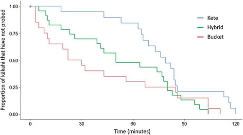 Figure 3. Behaviour curves generated from survival analysis performed on kākahi that probed during the first two hours of observation. Each curve represents one of the transport treatments (bucket, kete, hybrid) and shows the times at which probing occurred in each group.