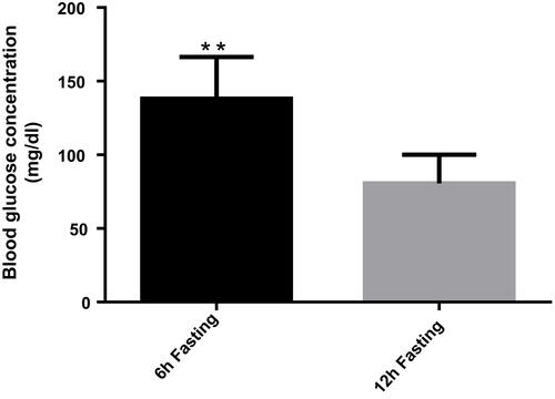 Figure 1 Graphical representation of the basal level of glucose after 6 and 12 hrs of fasting. Due to the much intensive mobilization of the glucose reservoirs the basal glucose values after overnight fasting are significantly lower compared to morning fast. C57BL/6J, male mice, n= 5, **P<0.01.