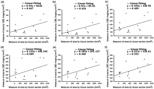 Figure 8. Relationships between the ablation size obtained from gross examination and the SCBE values estimated using |CBE¯| images by applying various contour criteria. (a) − 1 dB; (b) − 2 dB; (c) − 3 dB; (d) − 4 dB; (e) − 5 dB; (f) − 6 dB. The results indicated that |CBE¯|-based SCBE values were not adequately correlated with ablation sizes. This is attributed to the effect of shadowing features in conventional ultrasound CBE imaging.